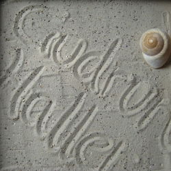 Gudrun Haller