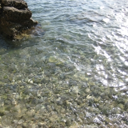 Wasser